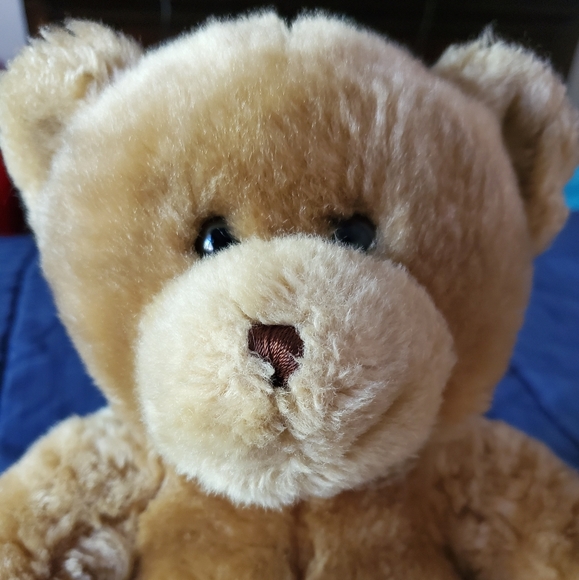 Build a bear Teddy bear - Picture 10 of 16